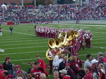 on the field 2