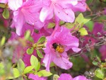 IMG_0624.JPG