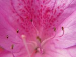 IMG_0630.JPG