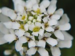 IMG_0632.JPG