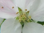 IMG_0637.JPG