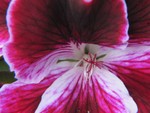IMG_0638.JPG