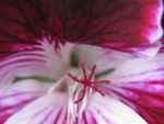 IMG_0639.JPG