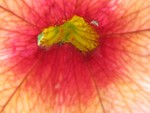 IMG_0640.JPG