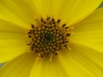 IMG_0641.JPG
