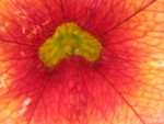 IMG_0642.JPG