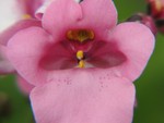 IMG_0644.JPG