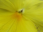 IMG_0645.JPG