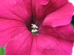 IMG_0649.JPG