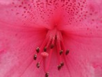IMG_0655.JPG