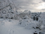 IMG_0779.JPG