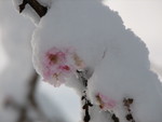 IMG_0783.JPG