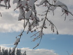 IMG_0787.JPG