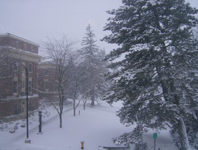 When I woke up Thursday morning this is what I saw out my window...