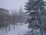 When I woke up Thursday morning this is what I saw out my window...