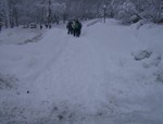 Picture 040