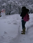 Picture 051