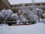 My dorm! The sign is barely visible.