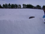 Picture 071