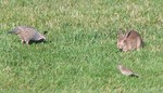 Some friends