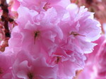 SpringShots07 008.jpg