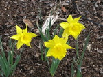 SpringShots07 027.jpg