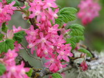SpringShots07 030.jpg