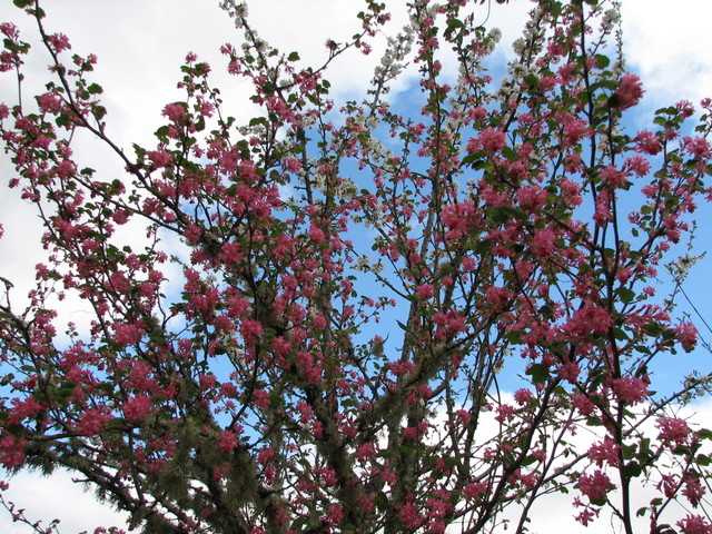 SpringShots07 033.jpg
