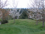 SpringShots07 037.jpg