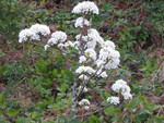 SpringShots07 038.jpg