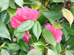 SpringShots07 046.jpg