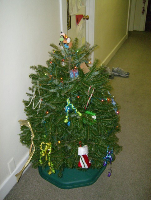 We named it Hansel. Isn't it cute?