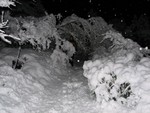 Clearing the trees