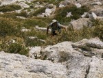 HPIM0247.JPG