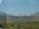 IMG_2035.JPG