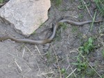 IMG_2043.JPG