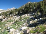 IMG_2055.JPG