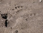 IMG_2056.JPG