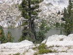 IMG_2102.JPG