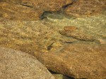 IMG_2161.JPG