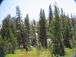 IMG_2215.JPG