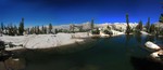 BonsaiDoug.jpg