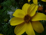 P1000905.JPG