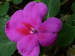 P1000916.JPG
