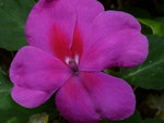 P1000917.JPG