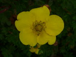 P1000941.JPG